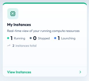 NUMEN My Instances widget showing running and launching workloads