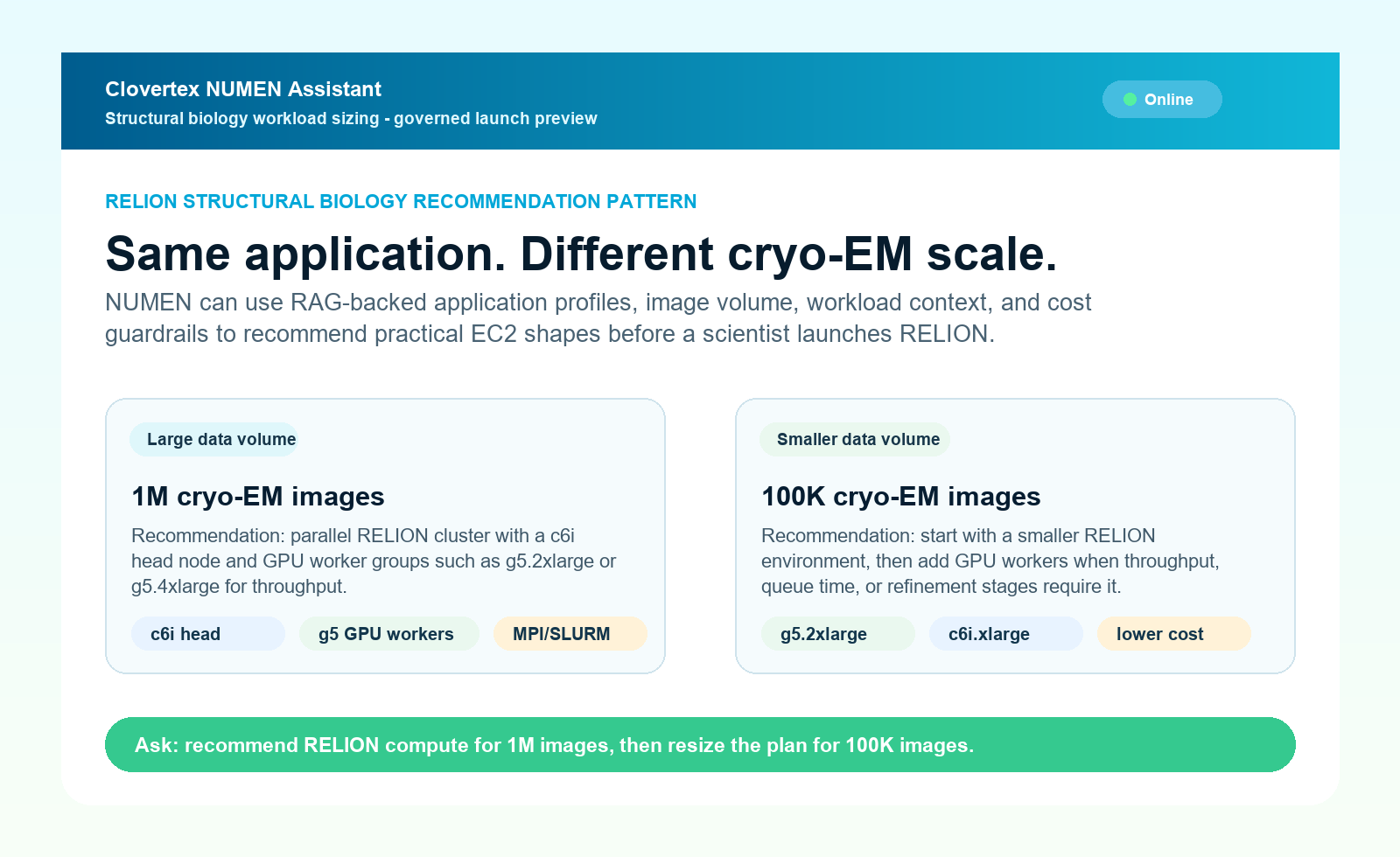 Representative NUMEN RELION dynamic EC2 recommendation pattern