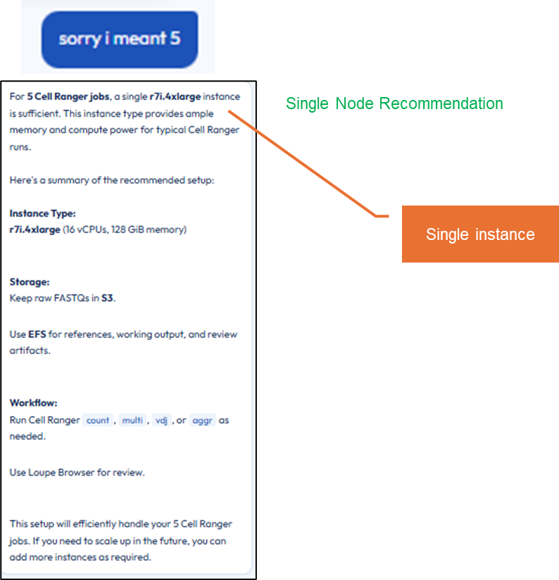 NUMEN AI chatbot single instance recommendation after workload clarification